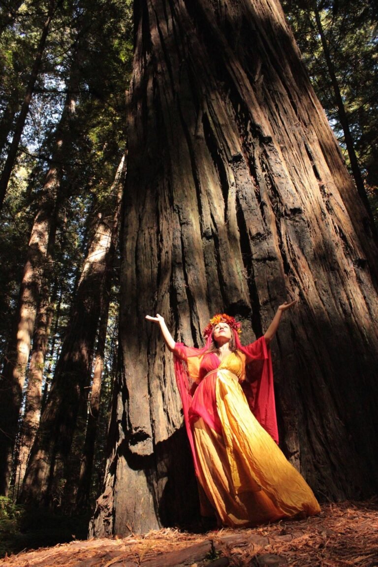Adoration of the redwoods, 2017