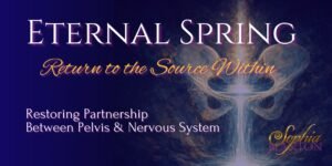 Eternal Spring Evergreen