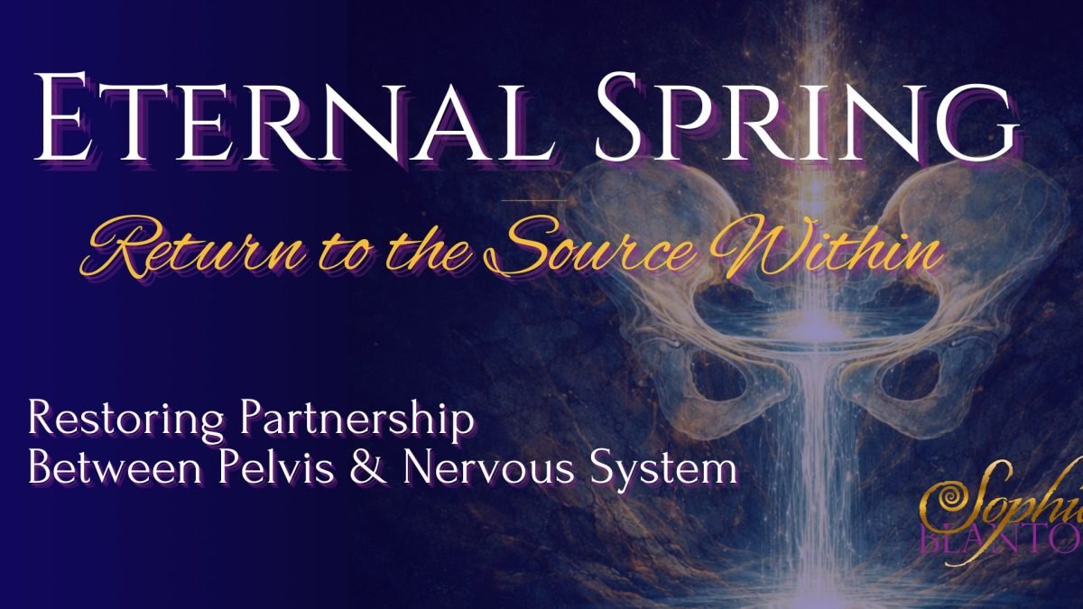 Eternal Spring Evergreen